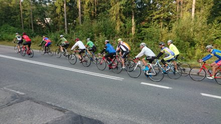 Rowerzyści na trasie