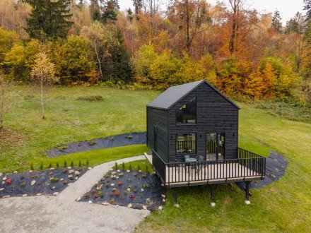 Cozy House