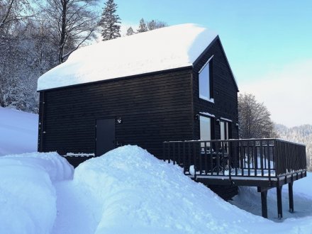 Cozy House