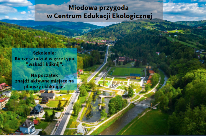 Grafika gry CEE Wisła