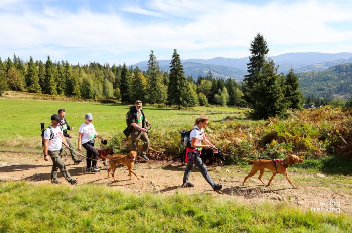XVII Mistrzostwa Polski w Dogtrekkingu