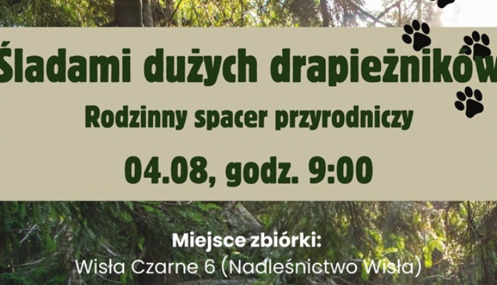 śladami drapieżników