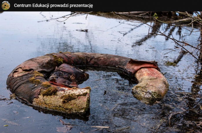 Prelekcja z okazji dnia ziemi