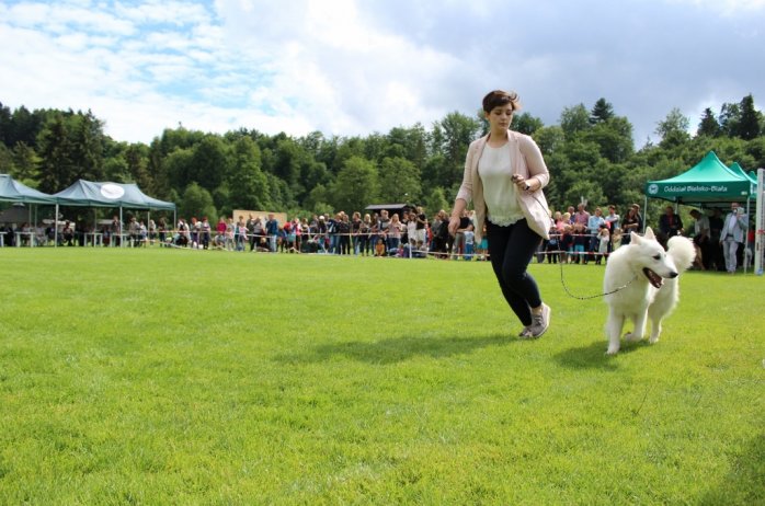 Prezentacja konkursowa