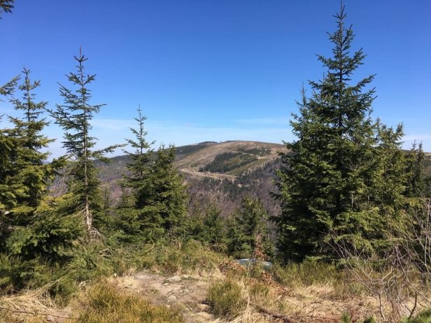 Droga z Salmopolu do Malinowskiej Jaskini