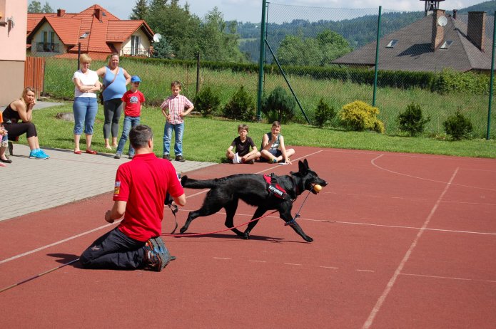 Pokazy na boisku szkolnym psa ratownika fot. InfoBeskidy.eu/Paweł Brągiel