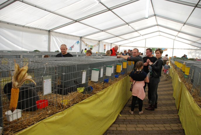 IV Beskidzka Wystawa Królików Rasowych