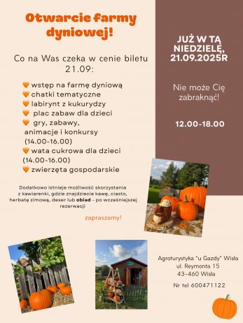 farma dyniowa w Agroturystyce u Gazdy