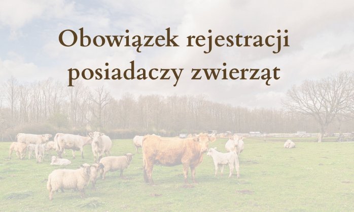 Baner informujący