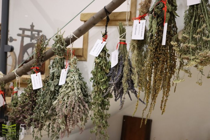 Zdjęcie zielin - warsztaty zielarskie w "Przytulii"