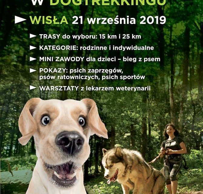 Plakat imprezy