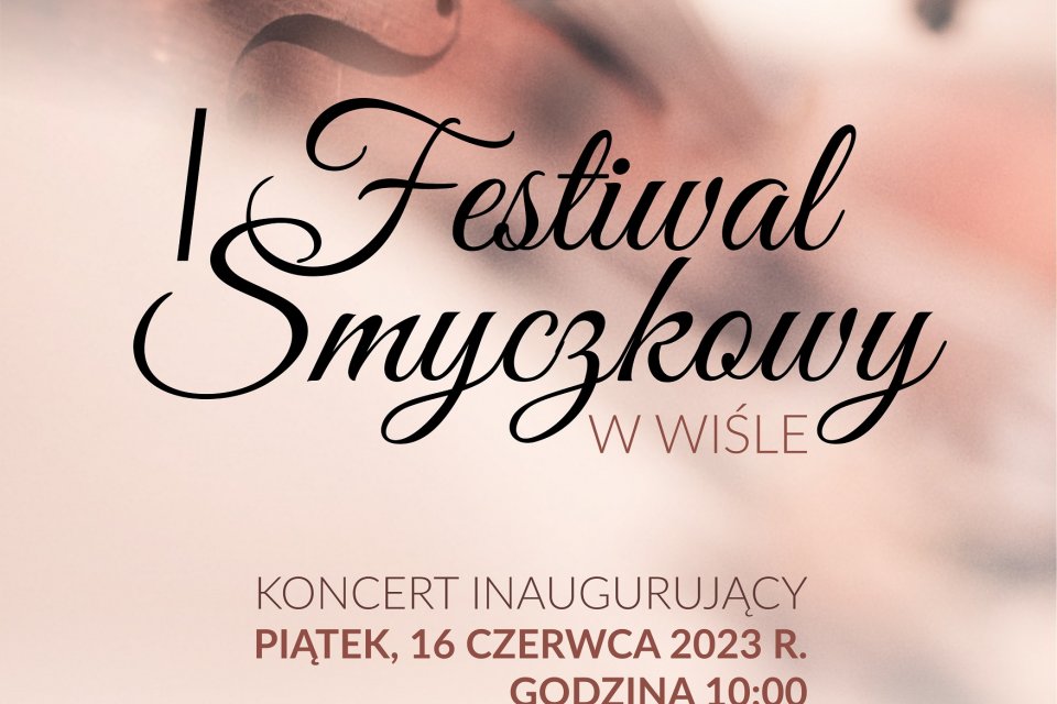 I Festiwal Smyczkowy - plakat