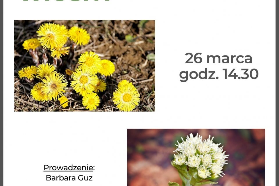 Plakat wydarzenia