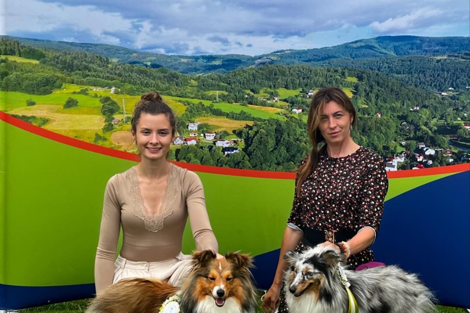 Wystawa Psów Rasowych