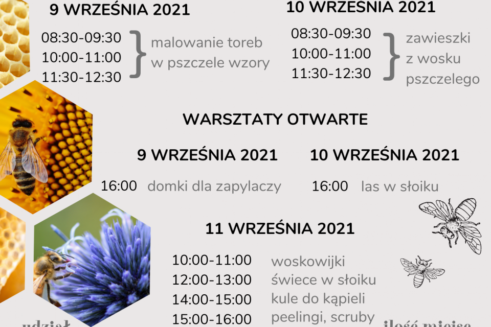 plakat warsztaty