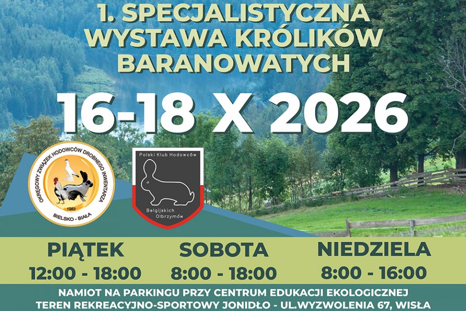plakat wystawa królików 2026