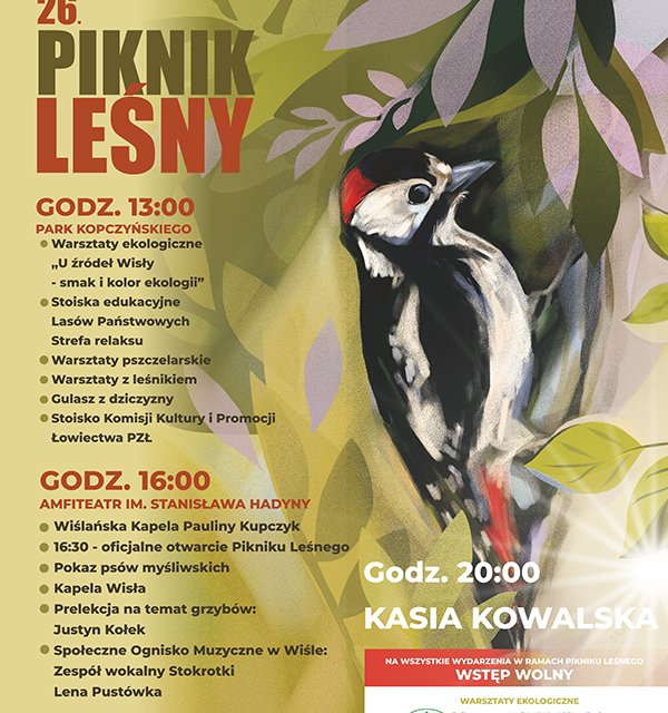 plakat piknik