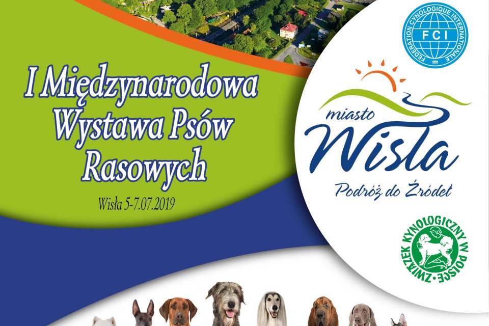 Reklama wystawy psów