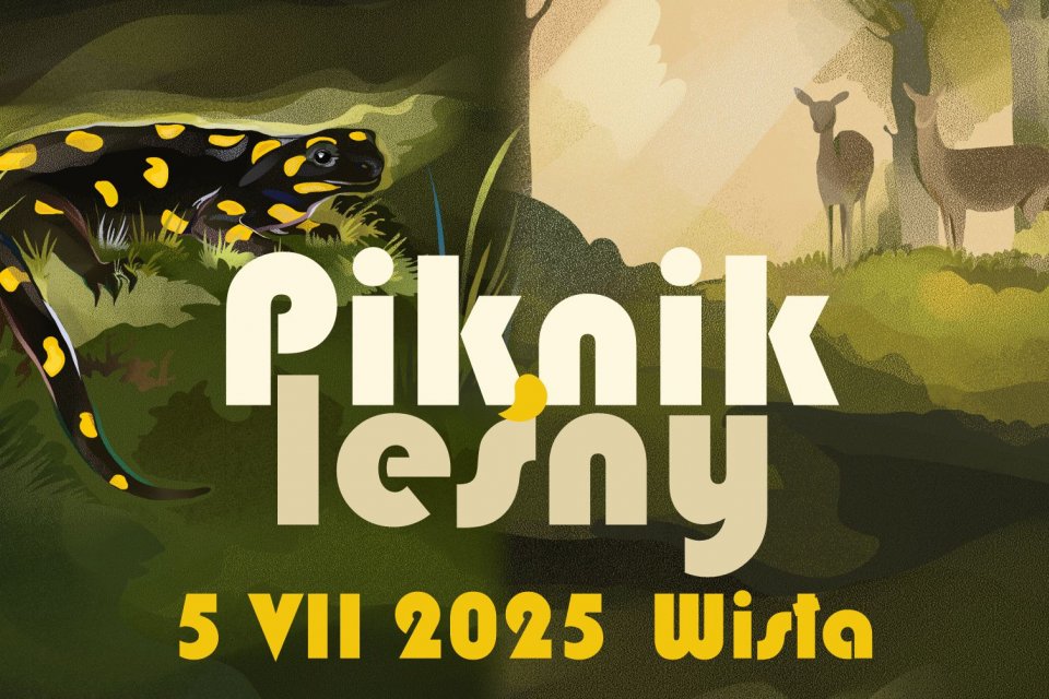 Piknik leśny