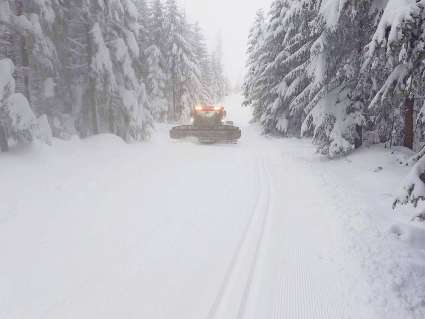 Trasy biegowe na Kubalonce