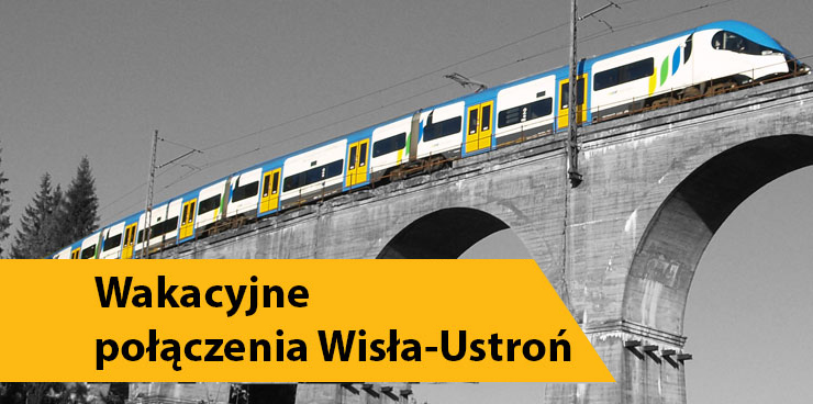 Pociąg na wiadukcie w Łabajowie