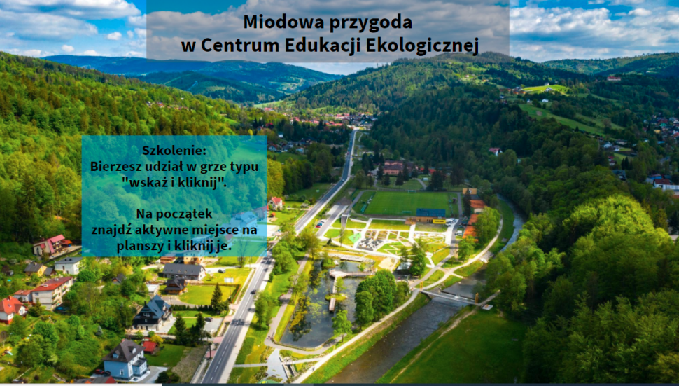 Grafika gry CEE Wisła