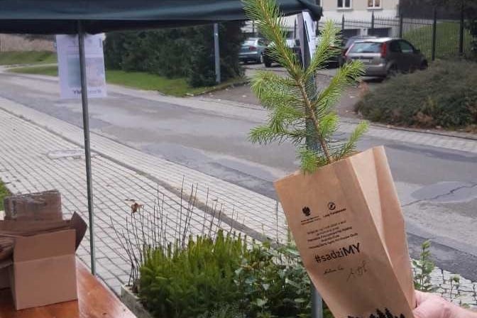 Zdjęcie z akcji rozdawania sadzonek