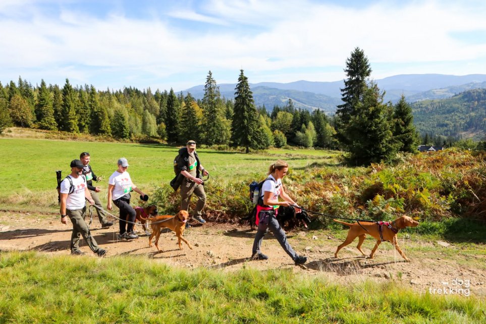 XVII Mistrzostwa Polski w Dogtrekkingu