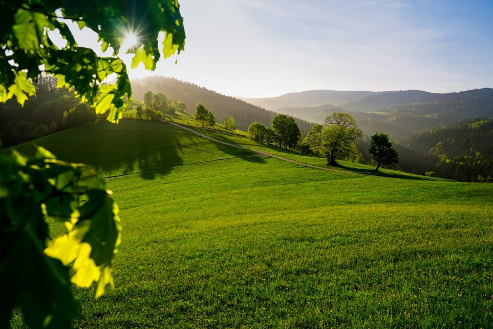Wiślańskie widoki na majówkę (fot.Agnieszka Kamieniorz)