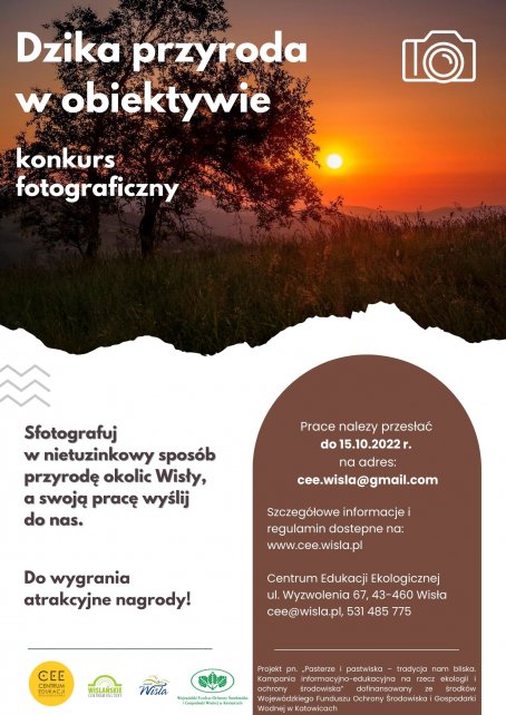 dzika przyroda w obiektywie