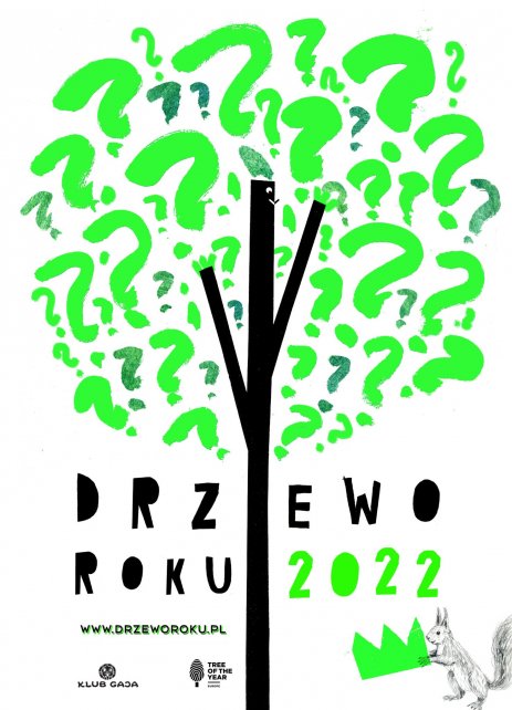 Drzewo roku