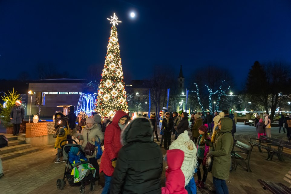 Rozświetlenie choinki na Placu Hoffa