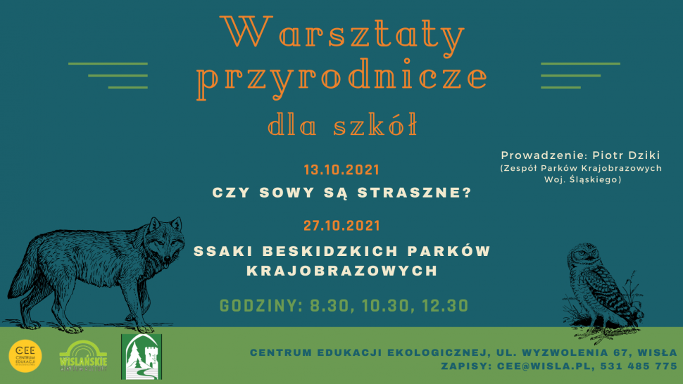 Warsztaty dla szkół