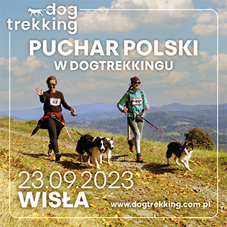 dogtrekking