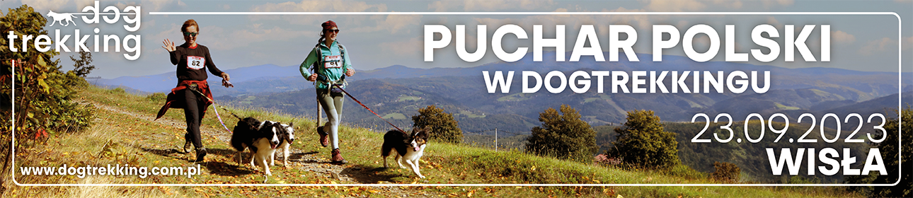 dogtrekking