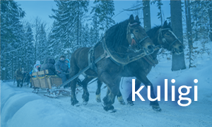 Banner - kuligi